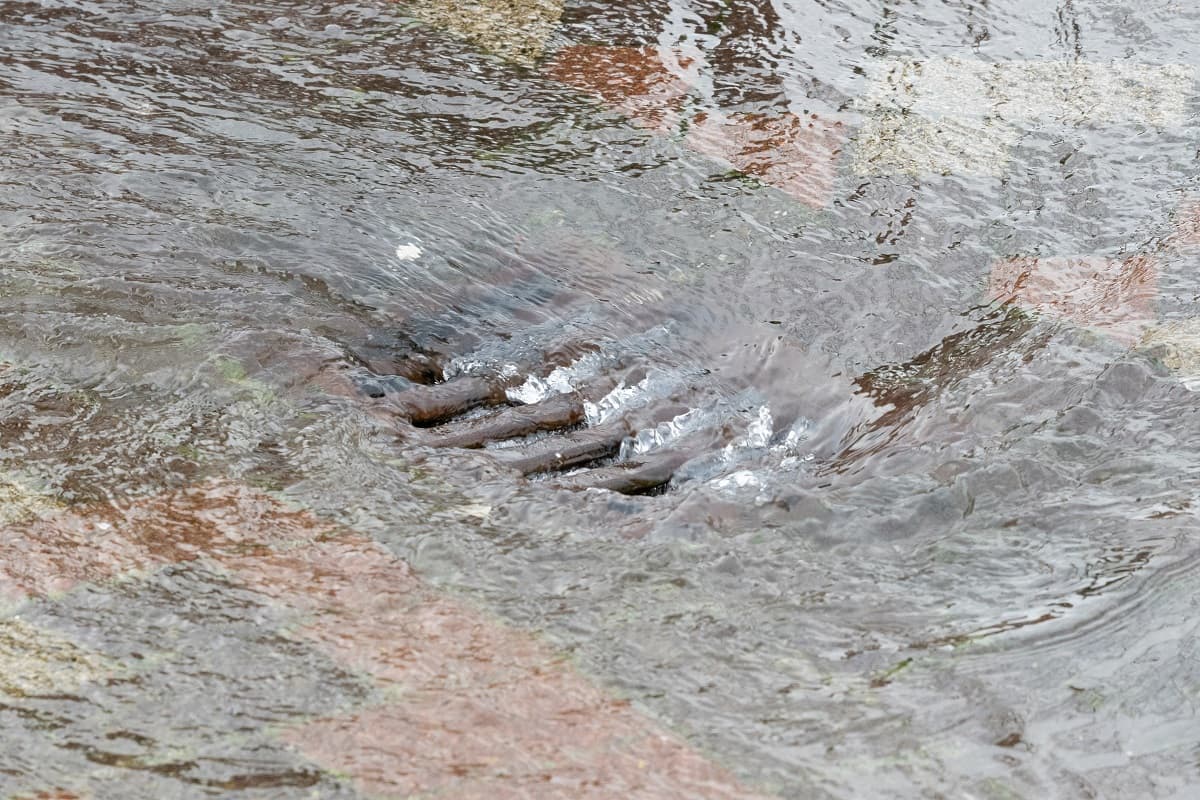 Stichtingrioned 20231220 308Mm 1200Pxhp