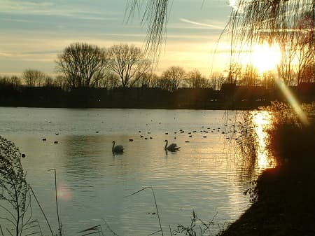 IP Iv Nat Kennisprog Water Klimaat Zonsopgang Denbosch ONK